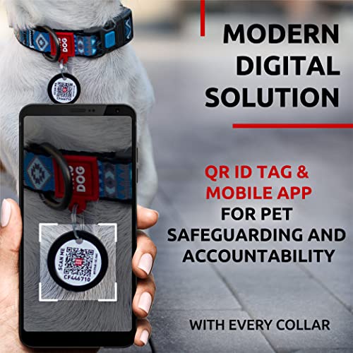 WAUDOG Verstellbares Welpenhalsband für kleine Hunde – Hundehalsband Jungen und Mädchen Nylon-Welpenhalsband Welpenhalsbänder große Rassen (Ethno Blue, 24,5 cm 34,5 Halsumfang)