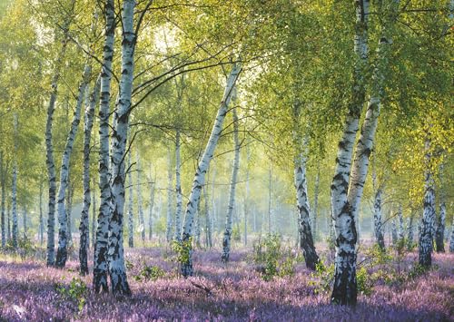 Ravensburger Birch Forest 1000 Piece Jigsaw Puzzles for Adults & Kids Age 12 Years Up