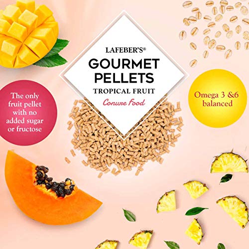 Lafeber's Tropical Fruit Gourmet Conure Pellets #TOP7