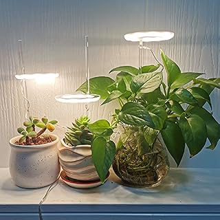 Indoor Plant Angel Lights | Grow Light | Two Rings | USB Powered | Suitable for use with Powerbanks