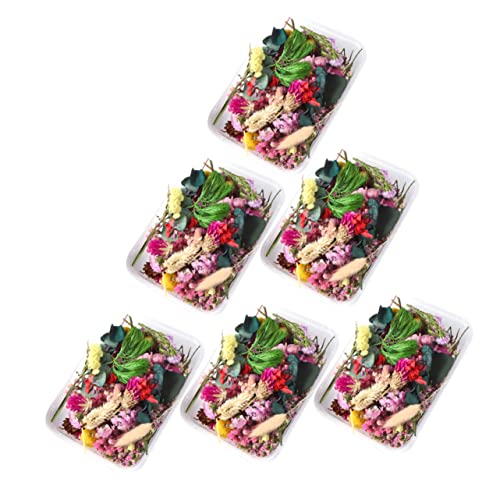 Flores secas prensadas para decoración y arte DIY