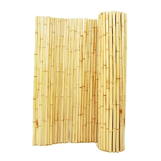 Forever Bamboo Natural Rolled Bamboo Fence 1in D x 6ft H x 8ft L