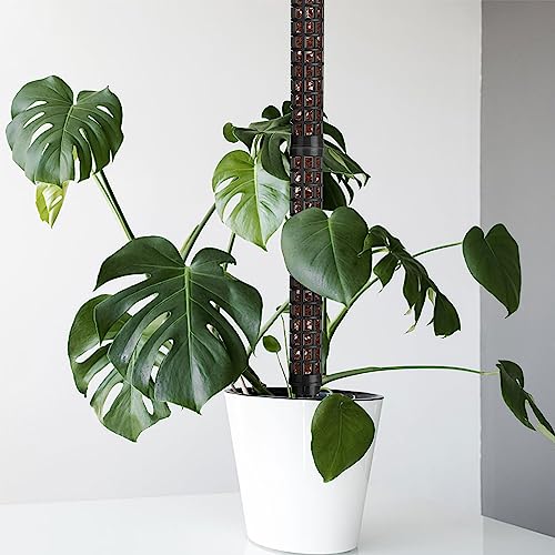 Comparativas de Donde venden tierra para plantas para comprar online. 14 Imagen adicional