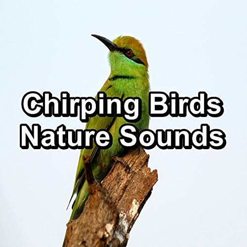 Amazon Music Unlimited Sleep Sound Library, Thunderstorm Sleep