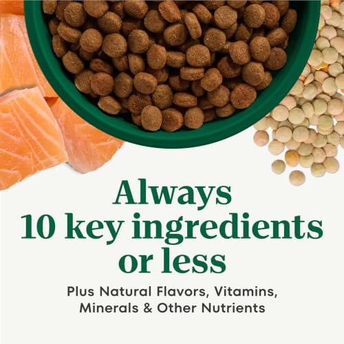 Image of Nutro Limited Ingredient Diet Dry Dog Food, Salmon & Lentils, 22 lb