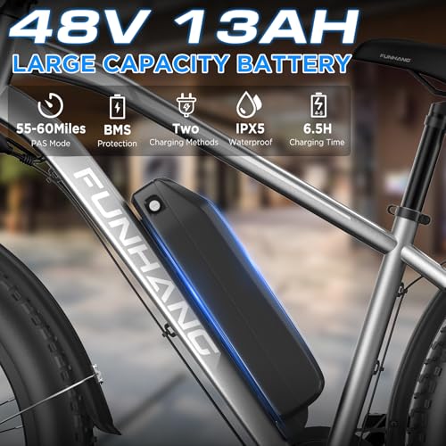 Funhang 1000W Electric Fat Tire Ebike