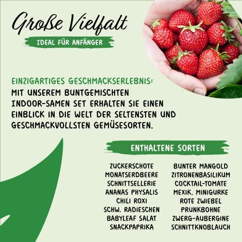 Prademir – Gemüsesamen Set “Indoor-Mix” aus 16 Sorten Premium Gemüse Samen – samenfestes Gemüse Saatgut für Balkon, Gewächshaus, Wohnung, Terrasse & Fensterbank – nahezu 100% Keimrate - Image 4