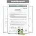 Vitamin B2, hochdosiert, 250mg - 120 Kapseln, vegan. Riboflavin – unterstützt Energiestoffwechsel, Sehkraft, Haut & Nerven. OHNE künstliche Zusätze - laborgeprüft. Von Greenfood.