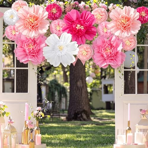 Image of TaoBary Large Colorful Tissue Paper Flowers Giant Fiesta Paper Pom Poms Classroom Wall Decor Mexican Birthday Party Decorations Wedding Backdrop(20 inch and 10 inch,Gradient Pink,12 Pcs)