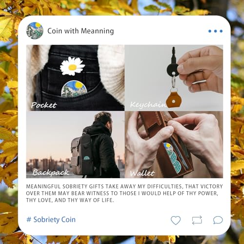 sunlight 37 year sobriety coin - recovery 37 year aa coins - serenity prayer na aa chips and medallions - 1-65 prime living clean sober token - narcotics alcoholics anonymous gifts for men women