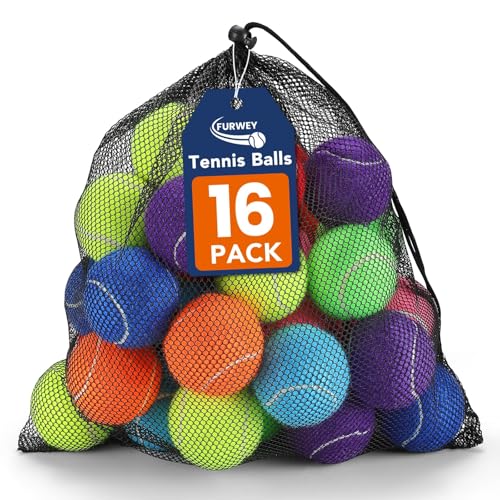 FURWEY Tennis Balls for Dogs 16 Pack 2.5 inches Durable and Non-Toxic Dog Toys Balls with Mesh Bag Colorful Fetch Toys Balls for pet Dog (Non Squeaky)