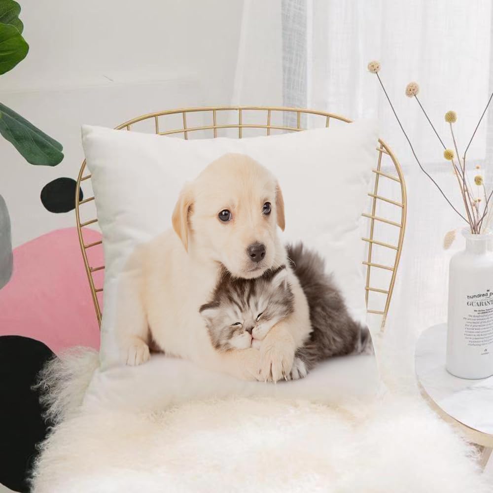 HYOSXW Cushion Cover,Throw Pillow Case Home Decorative for Living Room Bedroom Sofa Chair 16X16 Inch,Puppy Dog Hugging British Cat Isolated on White Background,Pillowcase 40X40cm