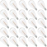 S14 Replacement LED Light Bulbs, Shatterproof & Waterproof 0.6W S14 LED Bulbs, Outdoor String Lights, E12 Base Patio Edison LED Light Bulbs, Warm White 2200K Plastic 40ML Non-Dimmable 25 Pack