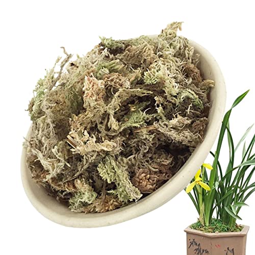 La Mejor Selección De Sphagnum Moss Home Depot Por Cdmx Alcaldias