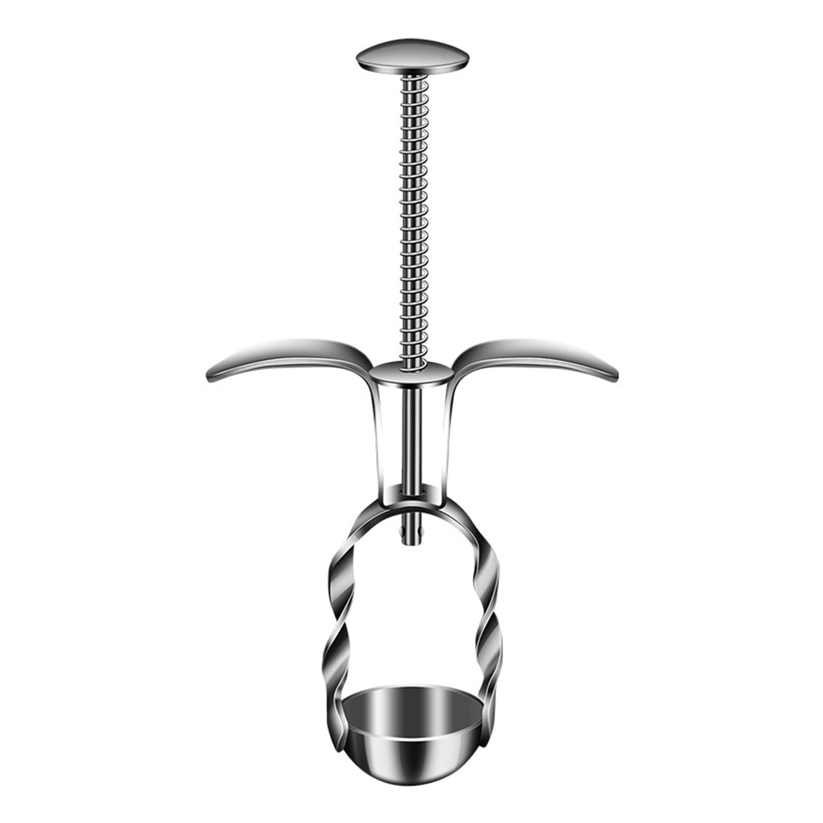 Buxuaaaa Efficient Tool Fruit Pit Removers Fruit Pit Extractores StainIess Steel Pickers for Saving Time Efficient Pitter