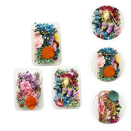 Flores Secas MAGICLULU para Decoración y Manualidades miniatura 7