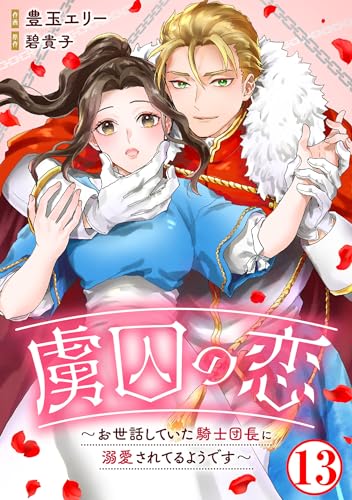 虜囚の恋~お世話していた騎士団長に溺愛されてるようです~13 (素敵なロマンス)