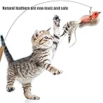 Cat Feather Toys Refill, 5 Pieces Cat Wand Attachments Feathers Bird Toy for Indoor Cats - Image 2