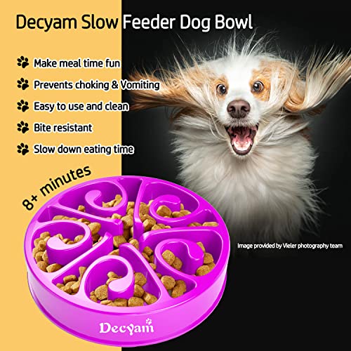 Decyam Ciotola Anti Ingozzamento Ciotole per Cani