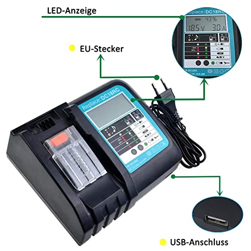 Ricambio 2 Pezzi 18V 5Ah Batteria con