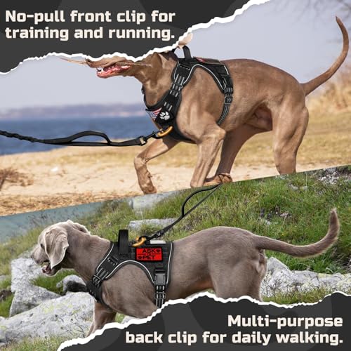 rabbitgoo Hundegeschirr Grosse Hunde, Anti Zug Geschirr Hund Verstellbar mit Griffe Verbreitert, Robust und Verschleißfest, Taktisches Hundegeschirr mit Metallschnallen zum Wandern(XL, Schwarz)