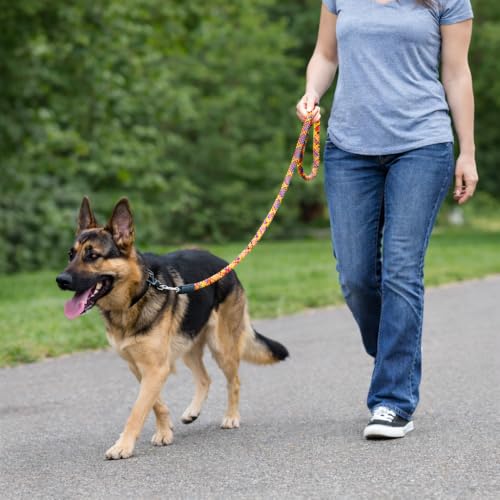 Image of Sitnooze Dog Leash for Medium & Large Dogs, Heavy Duty 5.5 FT Nylon Rope Leash, Anti-Slip Padded Handle, Dog Training Leash, Strong Durable Walking Lead for Daily Use, Rope Leash