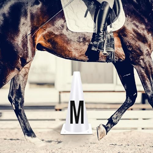 Cônes de dressage pour entraîneurs et organisateurs de courses