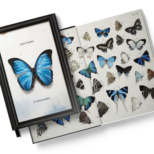 O colecionador: O colecionador: - Imagem 4