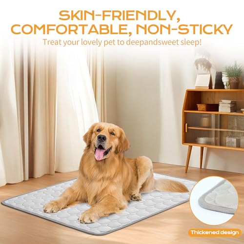 Chumix Wiederverwendbare Hundematte, Weichem Stoff Extra für Haustiere, Hundedecke für Unterwegs, Hundebettmatten für Große Hunde und Katzen,Ideal für Zuhause, Auto, Reisen(100x70cm XL)