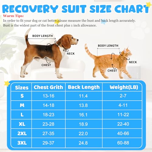Image of Recovery Suits for Dogs Cats, Dog Surgery Suits Female and Male spay, Breathbale Dog After Surgery Suits, Dog Onesie for Surgery Female Male, Anti Licking Dog Surgical Suits (Blue White Strip, S)