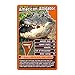 Top Trumps Deadliest Predators Card Game for 3 Years +