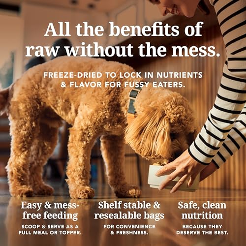 Image of K9 Natural - Canned High Protein Grain-Free Wet Dog Food Pate