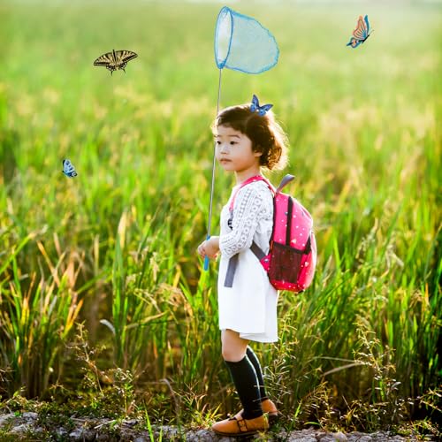 2 Stück Teleskop Fischernetz Teichnetz Ausziehbar Schmetterlingsnetz für Kinder,Natur Wissenschaft Exploration Werkzeug Fangen von Insekten, kleinen Fischen, Outdoor, Strand,Garten Aktivitäten