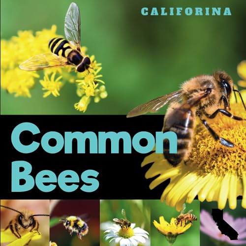 Common Bees of California: A Simple Picture Identification Guide For Beginners!