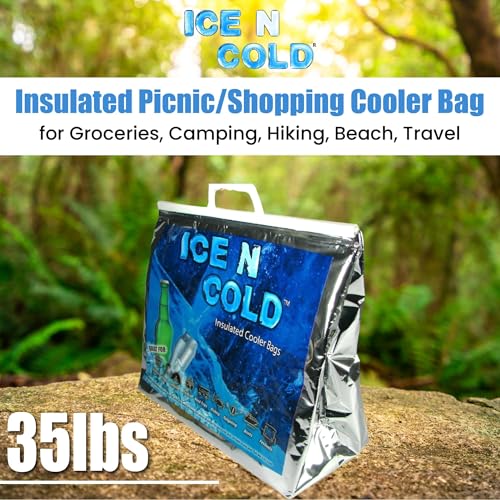 Insulated Picnic/Shopping Cooler Bags, Pack of 2, Lightweight Soft Collapsible, Large Capacity, 35lbs, Fast Same Day Shipping