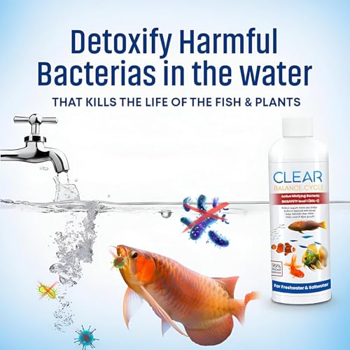 Image of Beyond Fill Fish Tank Water Cleaner Suitable for Fresh Water | Cloudy Water Remover for Crystal Clear Aquarium Water| Cleaner Balance Cycle for Fish Tank (Pack of 1 (100ml))