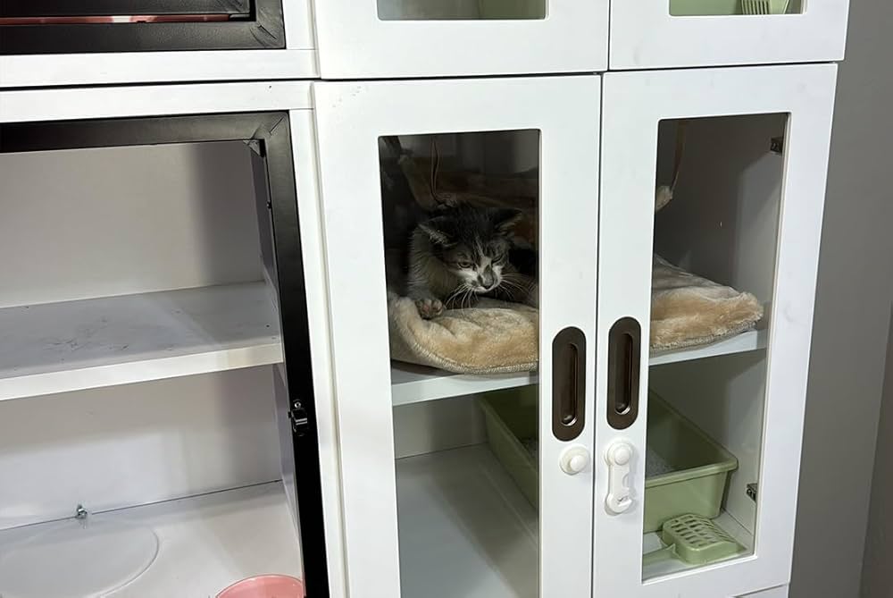 family cats　0331 family cats 0331 ZX Primary Gas-insulated Switchgear | ABB