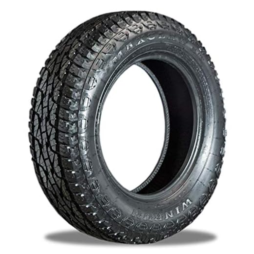 Pneu Winrun Aro 16 205/60R16 Maxclaw A/T 92H