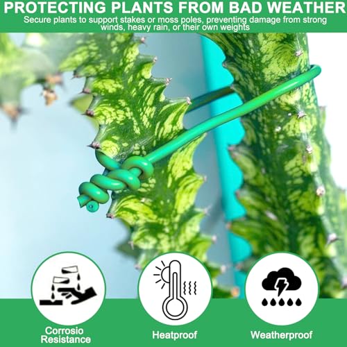 3,5mm x 20m Pflanzenbinder, Grün Pflanzendraht Weich, Dicke Bindedraht, Draht Grün, Ideal zum Anbinden von Kletterrosen und Pflanzenstütze im Garten