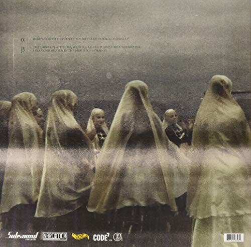 Pleiadees (Galaxy Effect) [Disco de Vinil]