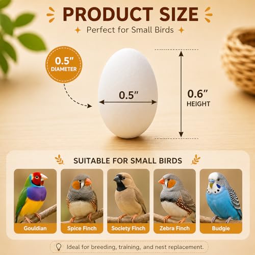 Image of MESINURS Solid Plastic Eggs - Parrot Bird Hatching Replacing Eggs for Guiding Birds to Stop Laying, 10 PCS (S)