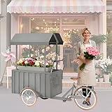Photo Gallery mofgoe carrello per snack con ampio contenitore, camioncino per fast food a tre ruote, bici per cibo con pedalata assistita a caricamento frontale, per hot dog, tacos, bevande e altro ancora,grigio Photo Gallery mofgoe carrello per snack con ampio contenitore, camioncino per fast food a tre ruote, bici per cibo con pedalata assistita a caricamento frontale, per hot dog, tacos, bevande e altro ancora,grigio