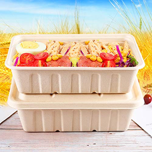 Cabilock 10 unidades de caixa de recipientes de alimentos biodegradáveis com tampas Bento para micro