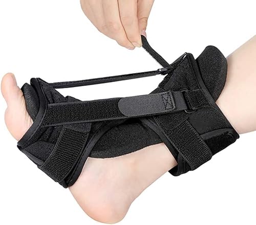 ؖiCgXvgAeXgbvt߉\ȔwiCgXvgtbgAʋCpbhAؖAƁAAA[`̒ɂ݁AALXFp