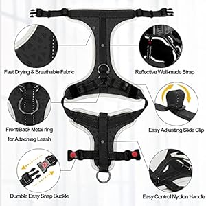 Supet-Dog-Harness-No-Pull-Dog-Vest-Harness-with-Free-Dog-Leash-No-Choke-Dog-Harness-Adjustable-Reflective-Heavy-Duty-Pet-Harness-with-Easy-Control-Handle-for-Small-Medium-Large-Dog - Cucciolini Doodles   Supet-Dog-Harness-No-Pull-Dog-Vest-Harness-with-Free-Dog-Leash-No-Choke-Dog-Harness-Adjustable-Reflective-Heavy-Duty-Pet-Harness-with-Easy-Control-Handle-for-Small-Medium-Large-Dog
