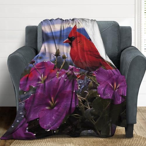 Couverture microfibre de luxe violette : douceur et élégance pour lit - 5