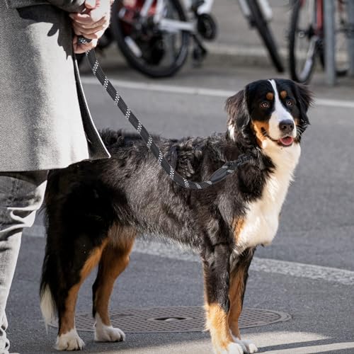 Zocipro Retrieverleine – 1,8 m starkes Seil, Anti-Ziehen, Anti-Ersticken, Nylonseil-Leine, reflektierende Lauf-Trainingsleine für mittelgroße und große Hunde (schwarz)