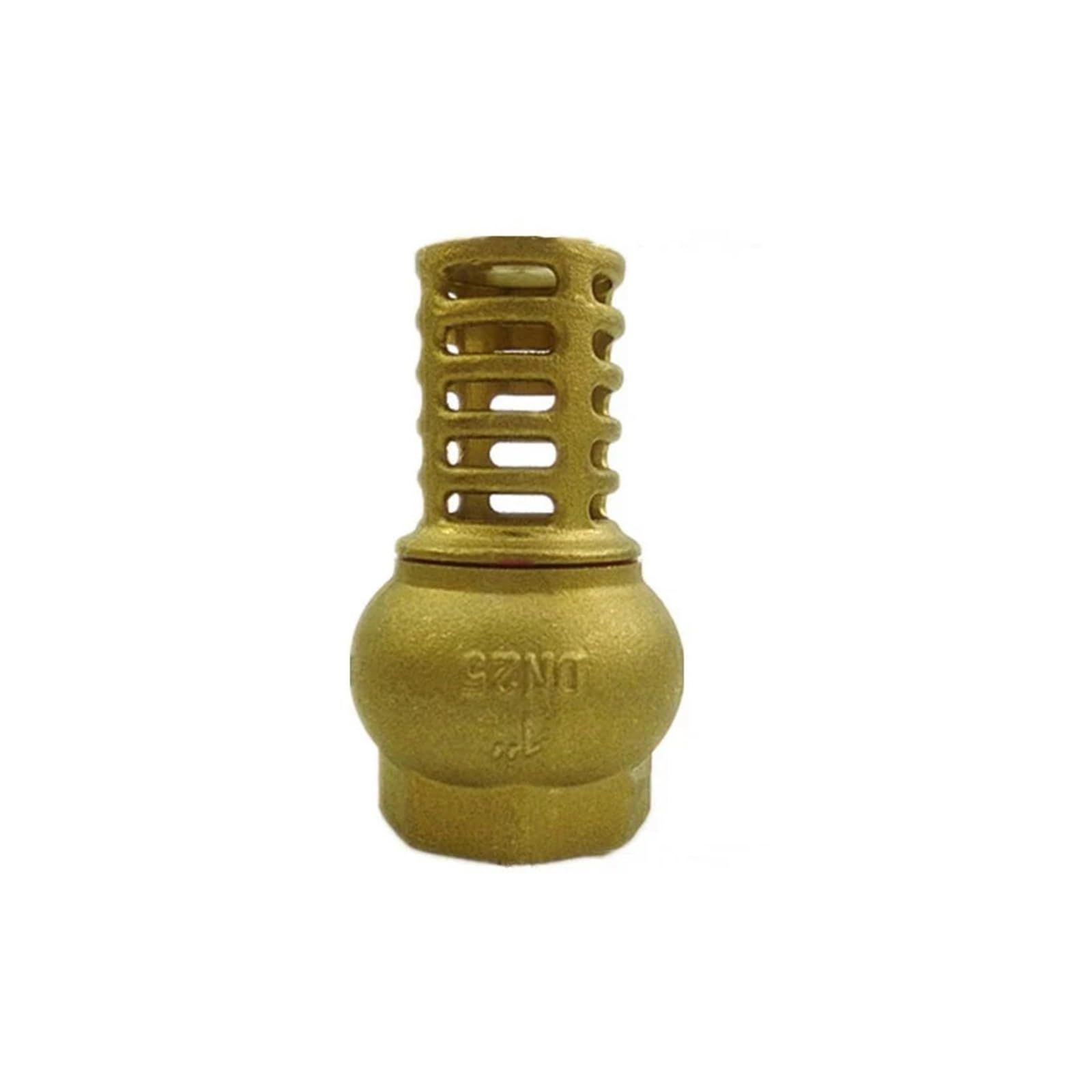 PAKMEZ 1" BSP Female Thread Brass Check Valve Strainer Filter Bottom Valve Foot Valve For Water Oil Pump