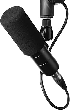 Amazon.com: Earthworks ETHOS Condenser Broadcast Microphone