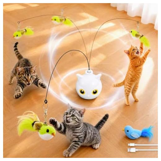 CATPICK Interactive Cat Toy for Indoor Cats, Automatic Flying Bird Toy